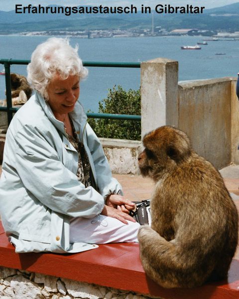 Erfahrungsaustausch in Gibraltar