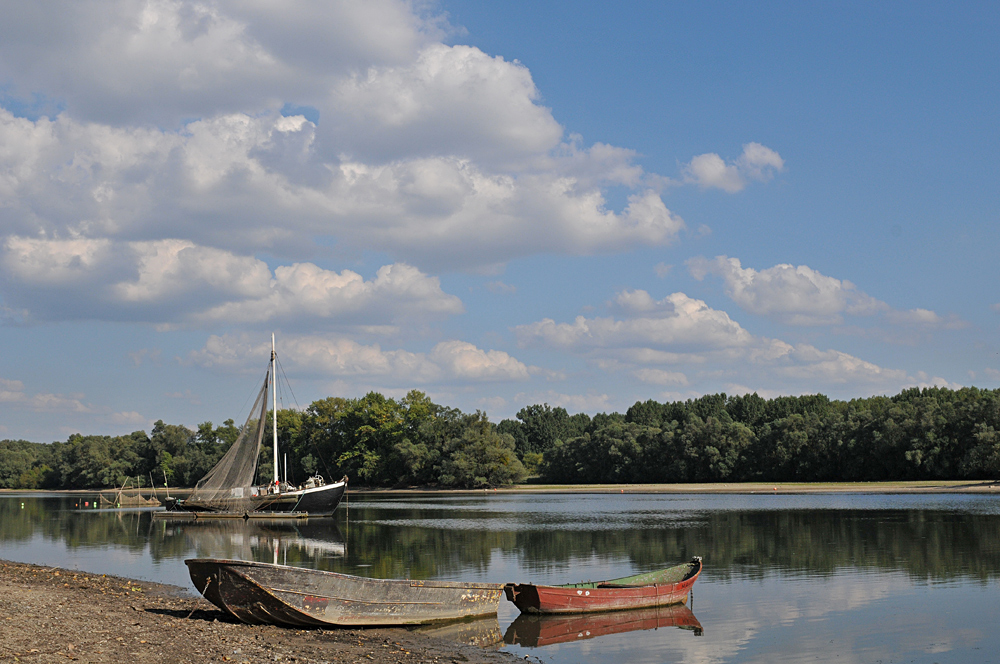 Erfelder Altrhein: Boote – Spiegeln 03