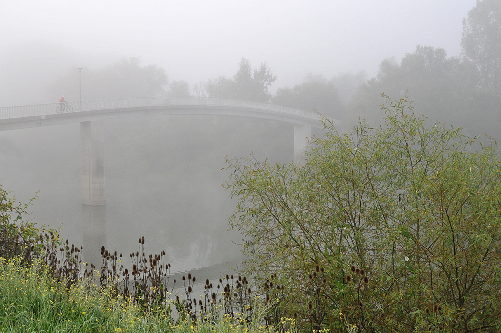 Erfelder Altrhein: Martin-Roth-Brücke – Zugang zum Kühkopf