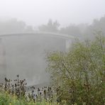 Erfelder Altrhein: Martin-Roth-Brücke – Zugang zum Kühkopf