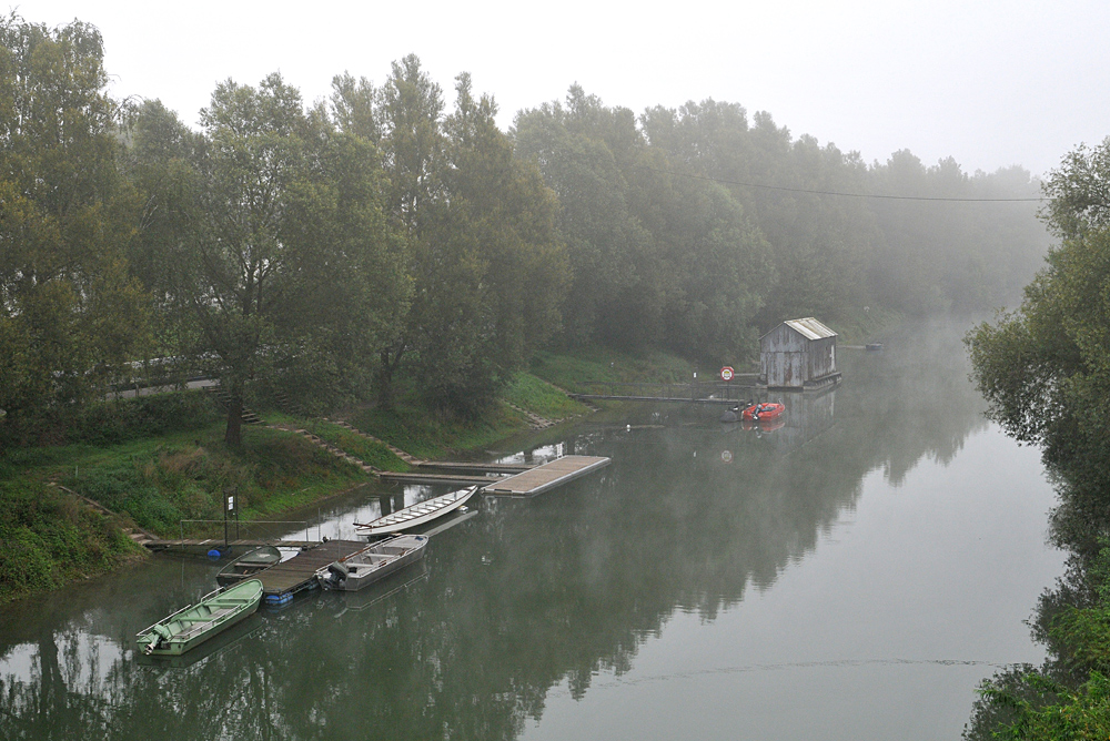 Erfelder Altrhein: Morgennebel