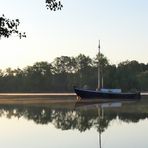 Erfelder Altrhein: Stimmung um 06:00 Uhr am Mistweg 02