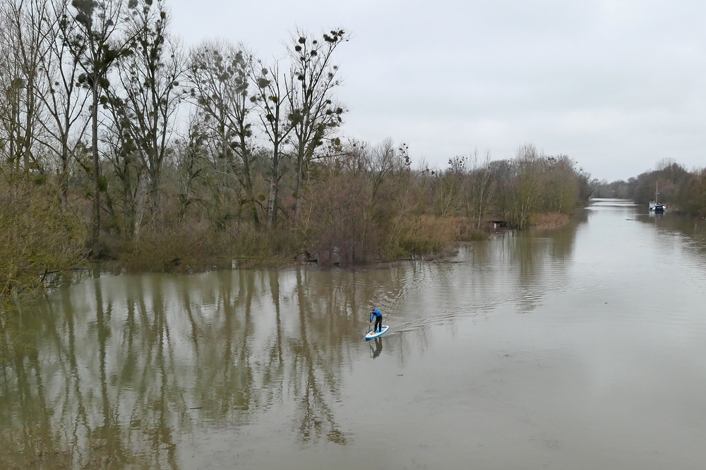 Erfelder Altrhein: SUP – Paddeln bei Hochwasser