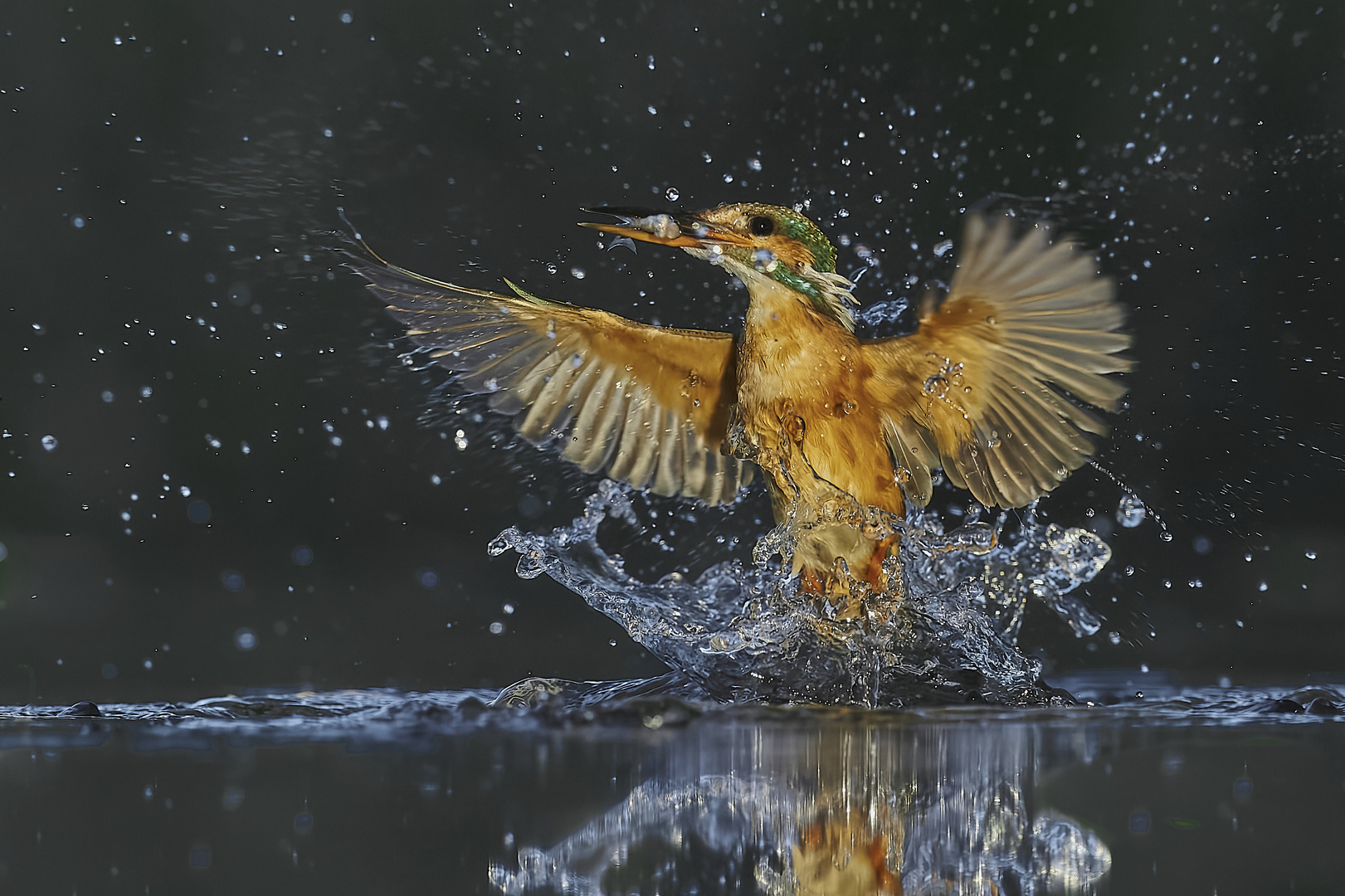 Erfolg Foto & Bild | fotos, wasser, natur Bilder auf fotocommunity