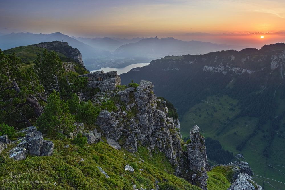 Erfolg oder kein Erfolg? - DRI