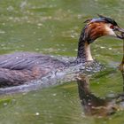 Erfolgreich gefischt