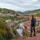 Erfolgreiche Gassirunde mit Hund, Kamera und Stativ