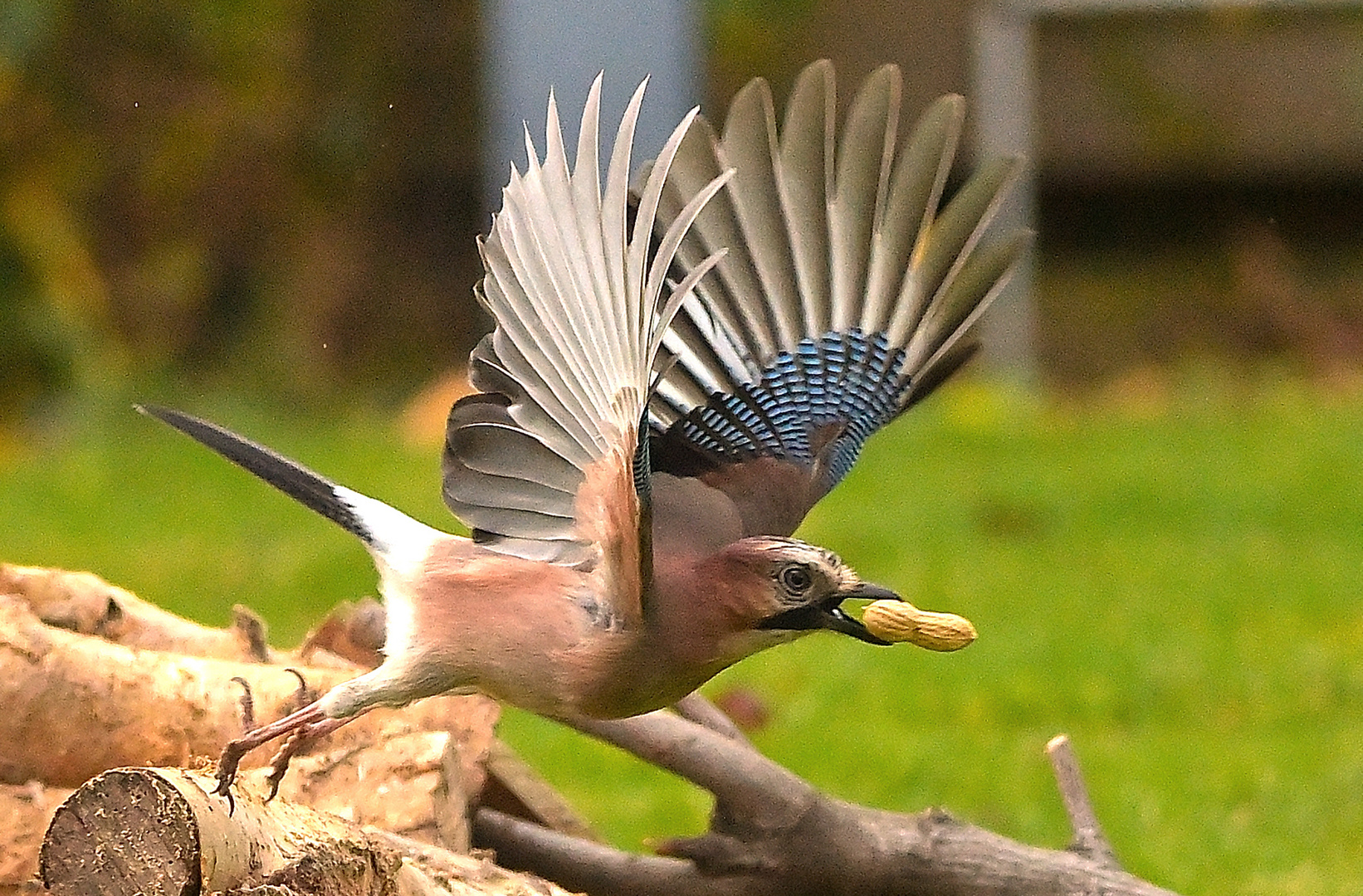 Erfolgreicher Abflug!