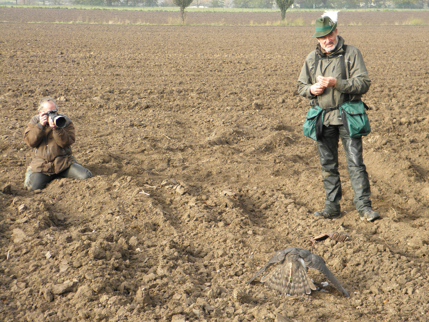 Erfolgreicher Falkner, Habicht und Fotograf