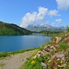 Erfreulicher Rückblick