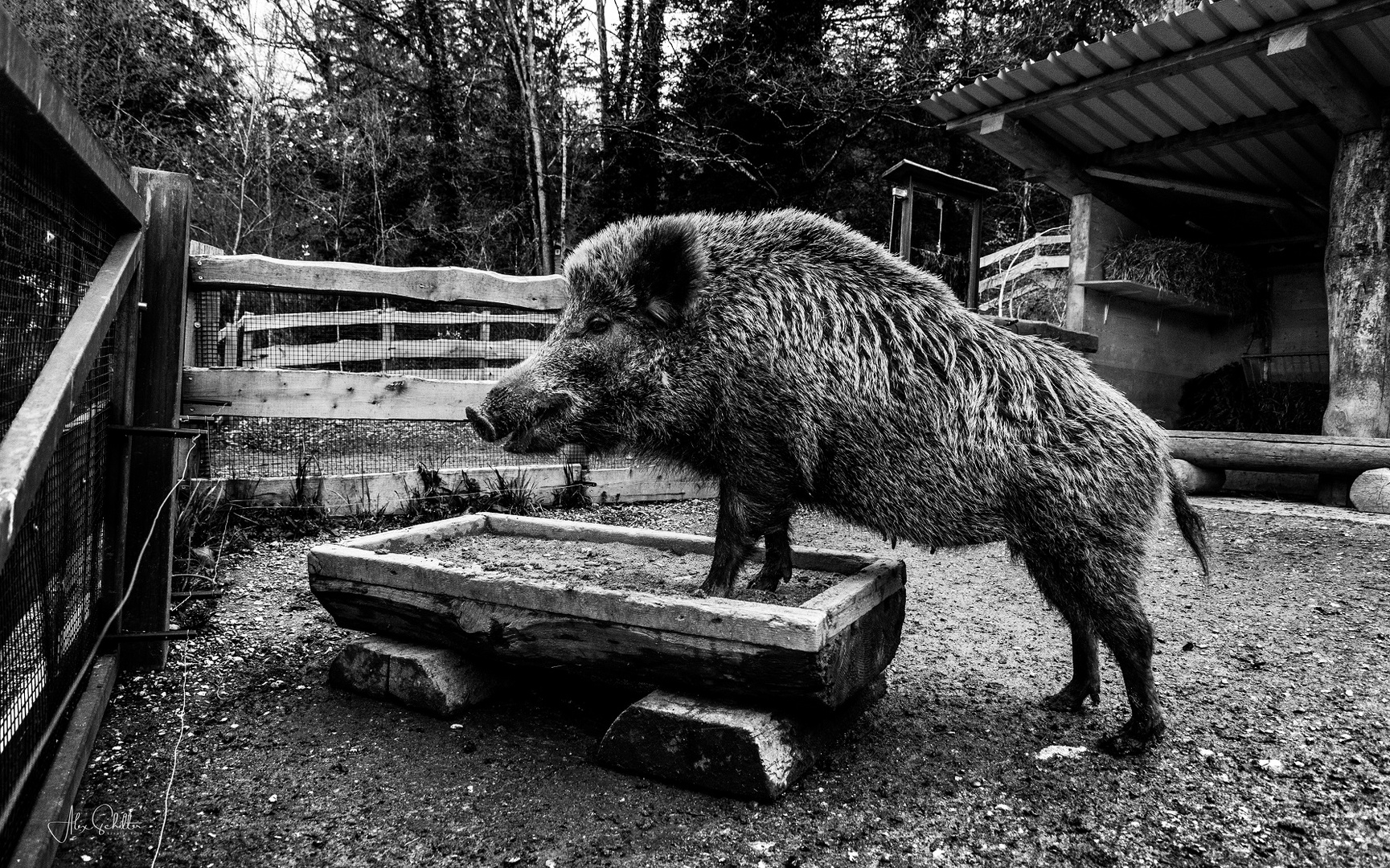 "erfrischend anders... Natur- & Tierpark Goldau"