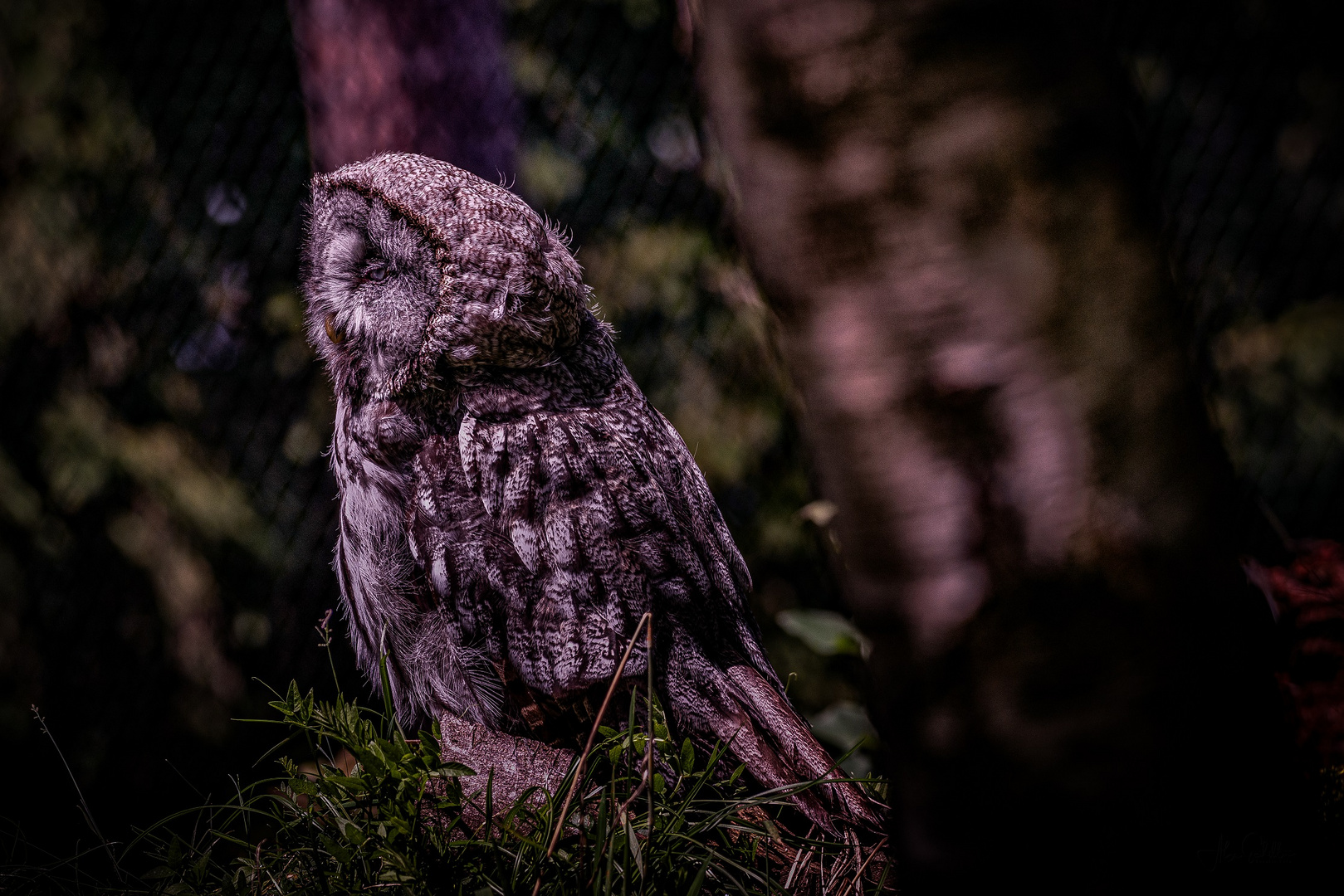 "erfrischend anders... Natur- & Tierpark Goldau"