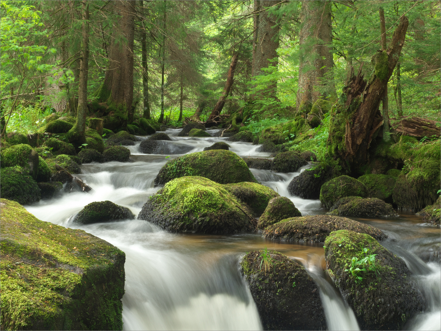 Erfrischend Foto & Bild wald, wasser, natur Bilder auf