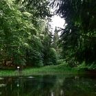 Erfrischender Aufenthaltsort im Wald