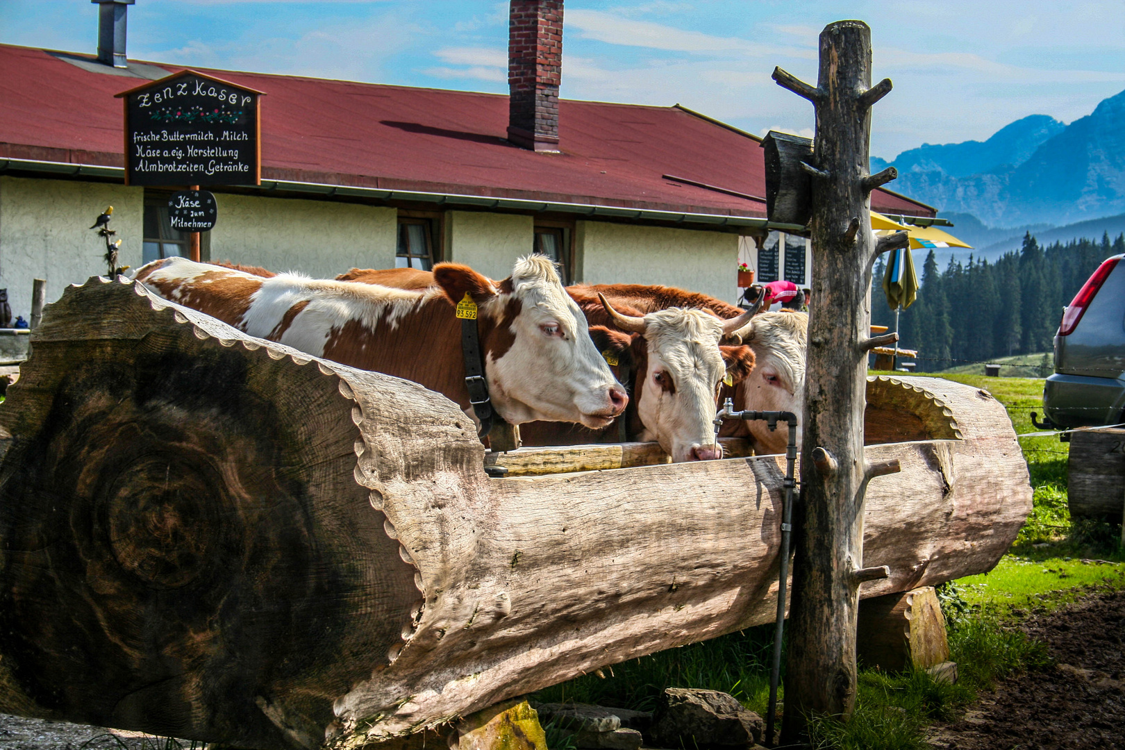 Erfrischung auf der Alm