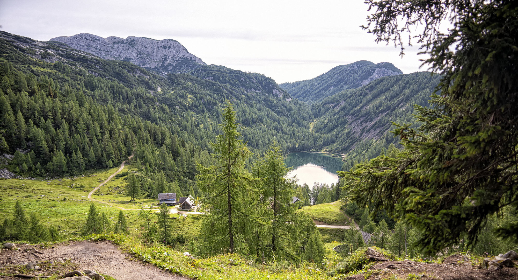 Erfrischung im Steirersee