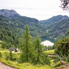 Erfrischung im Steirersee