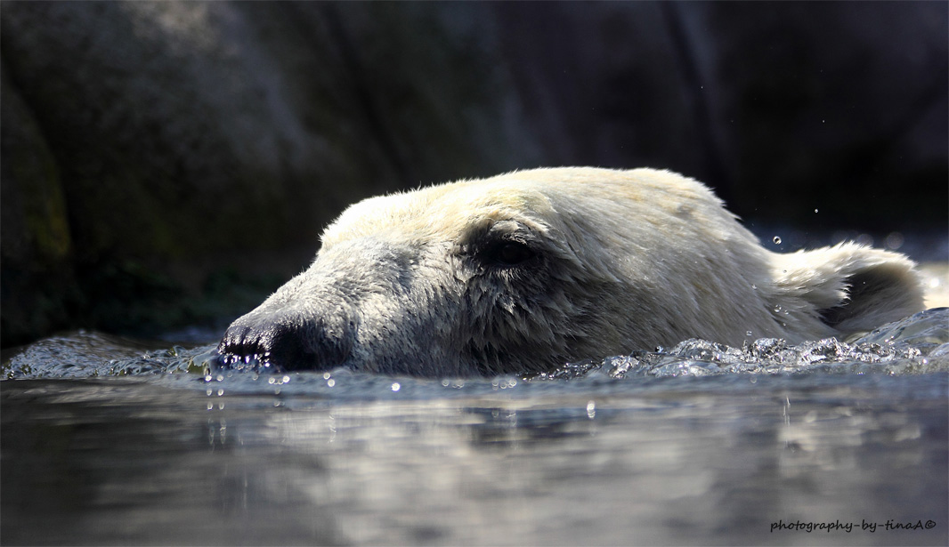 Erfrischung / Refreshment