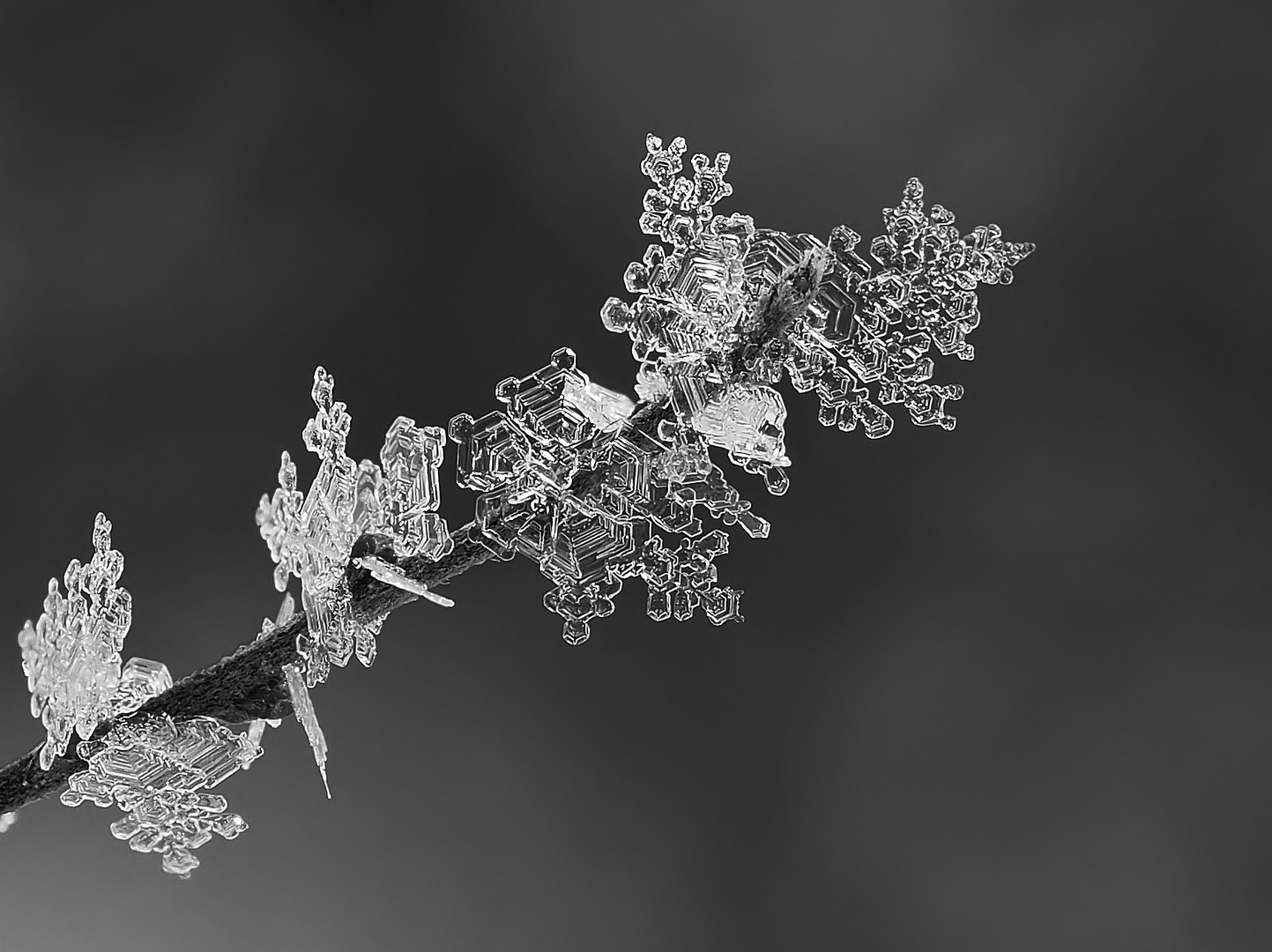 Erfroren..... Foto & Bild sonstiges, wasser im detail, emotionen