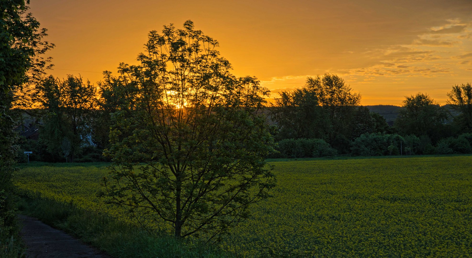 Erftwiesen