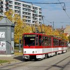 Erfurt: 530+524 (SL 2)