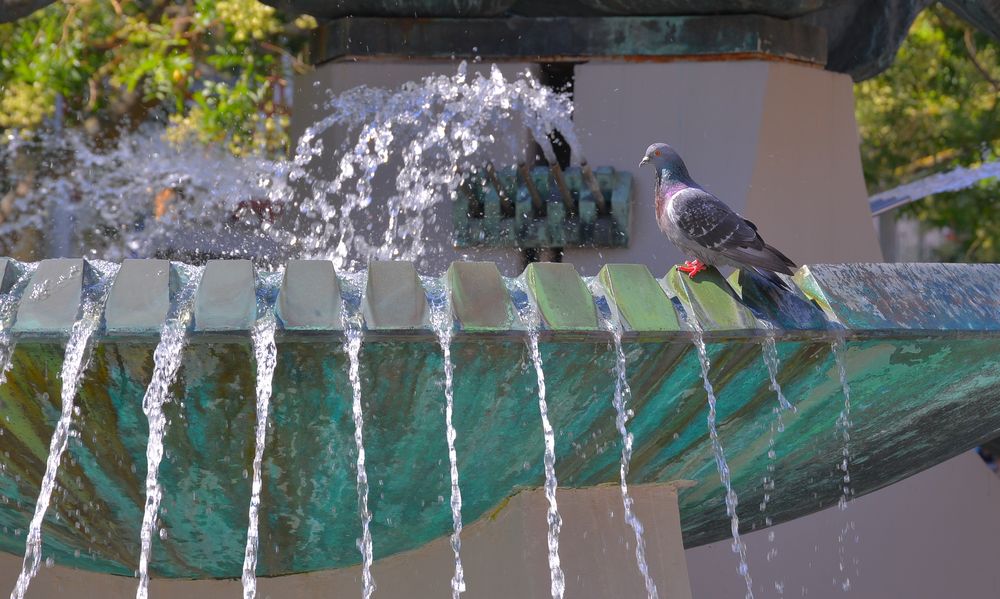 Erfurt, am Angerbrunnen, Erfrischung an einem heißen Tag