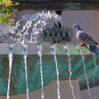 Erfurt, am Angerbrunnen, Erfrischung an einem heißen Tag