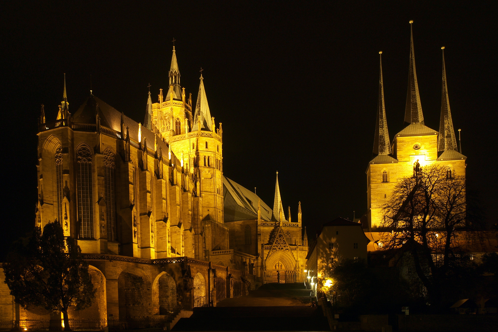 Erfurt bei Nacht / Der Dom