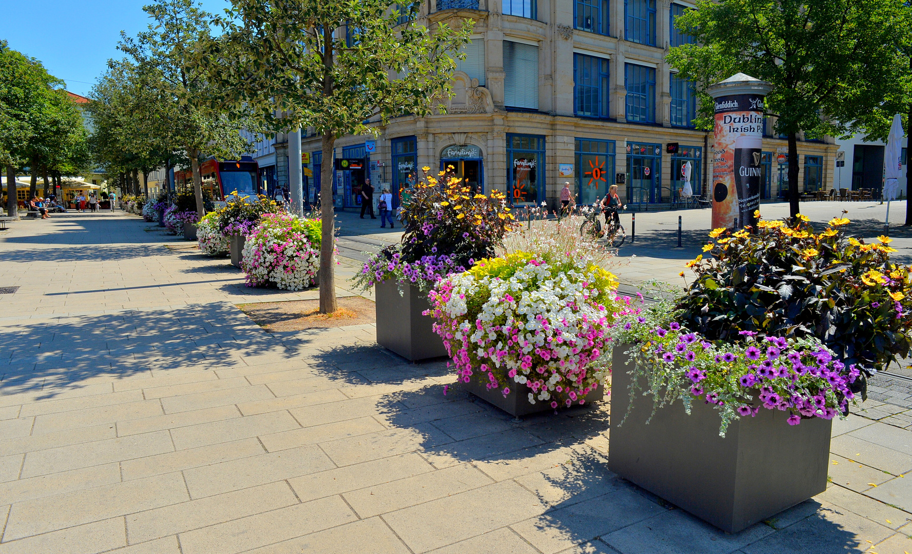 Erfurt, Blumen (Erfurt, flores)