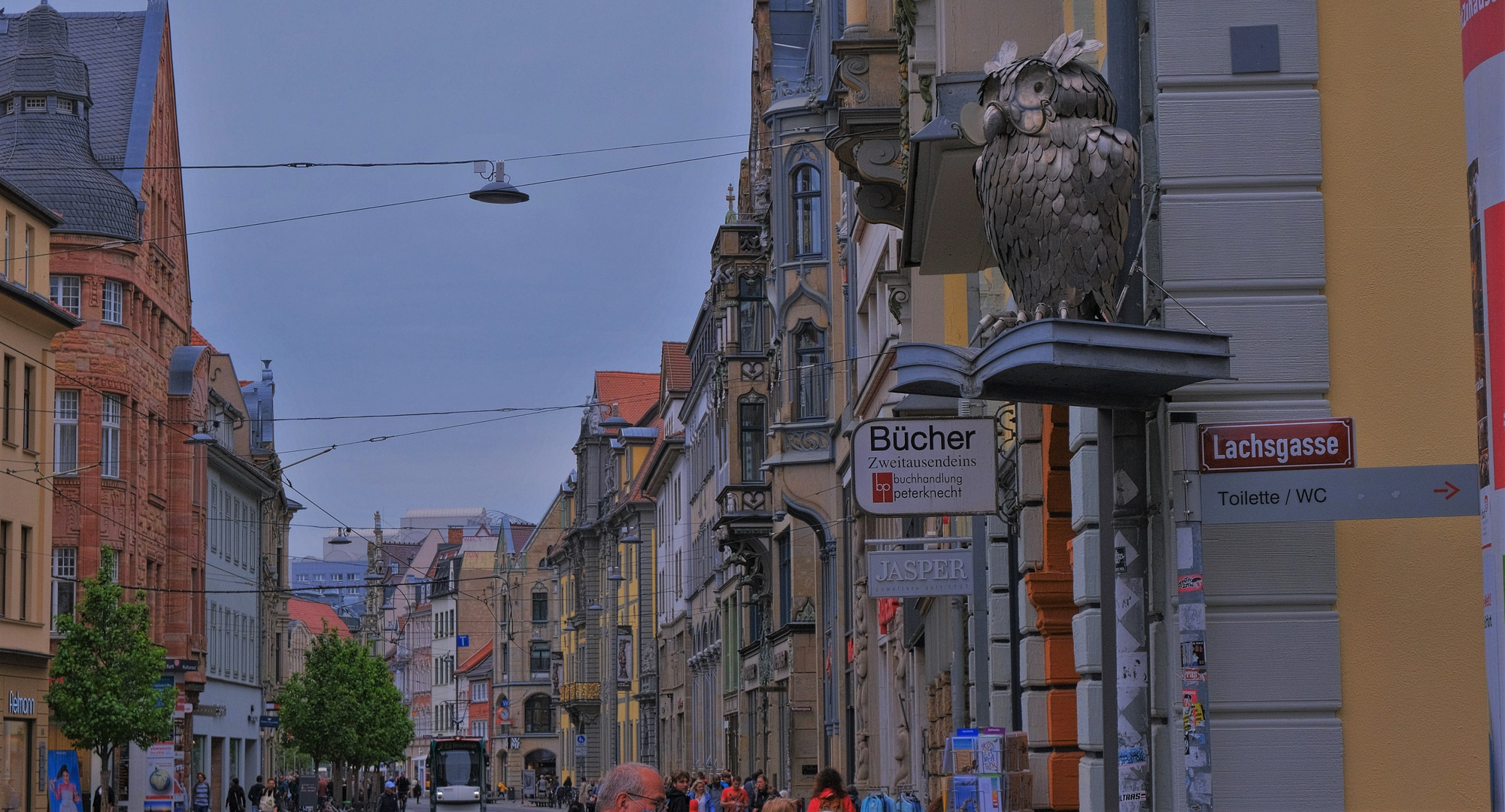 Erfurt, Buchhandlung Peterknecht (Erfurt, librería Peterknecht)