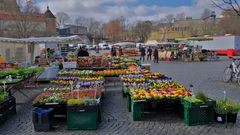 Erfurt, Domplatz, Blumenverkauf