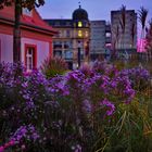 Erfurt Hirschgarten am Abend