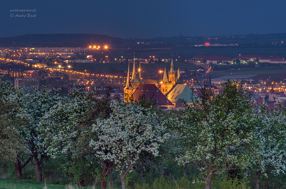 Erfurt im Frühling