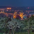 Erfurt im Frühling