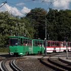 Erfurt zum Lichterfest