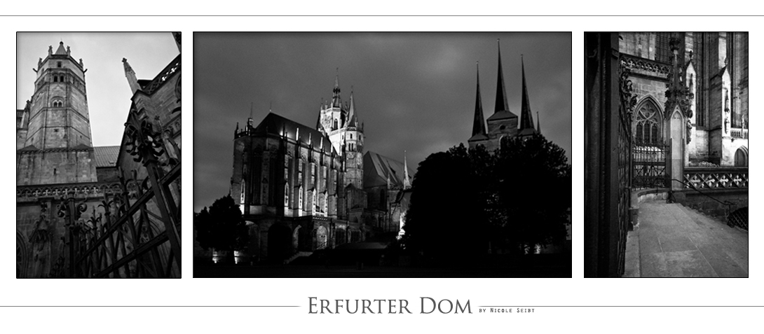 Erfurter Dom