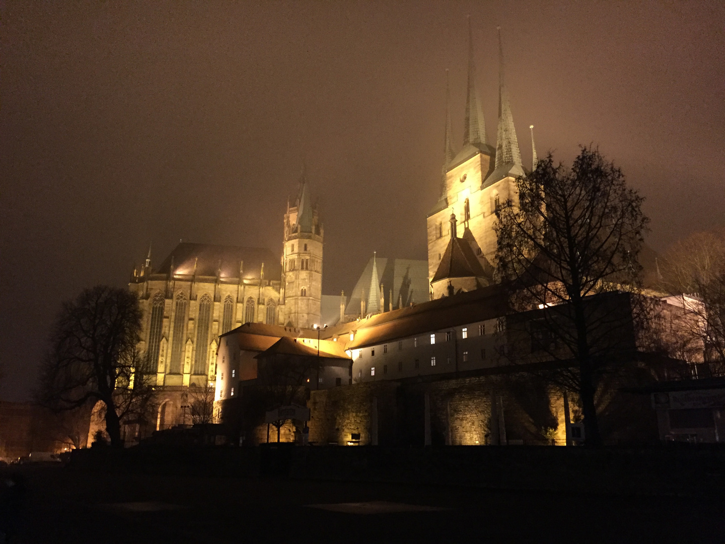 Erfurter Dom im Nebel