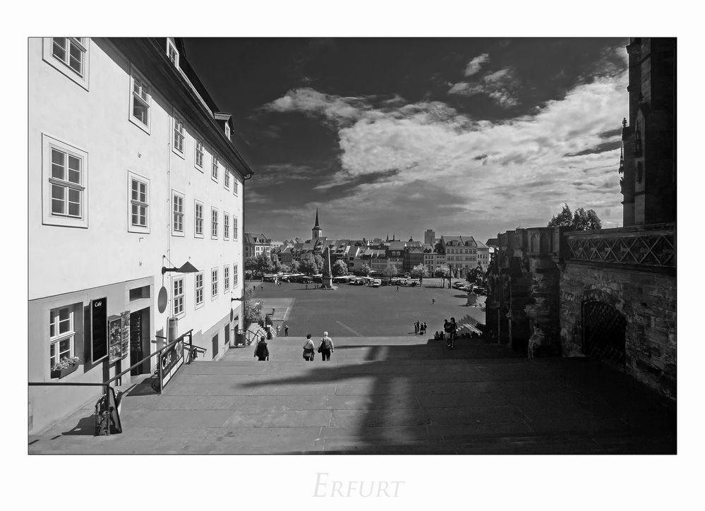 Erfurter Impressionen " Blick von der DOM - Treppe..."