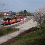 Erfurter Stadtrundfahrt