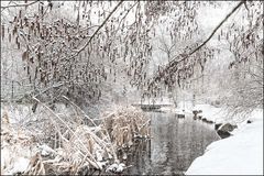 Erfurter Winter #3