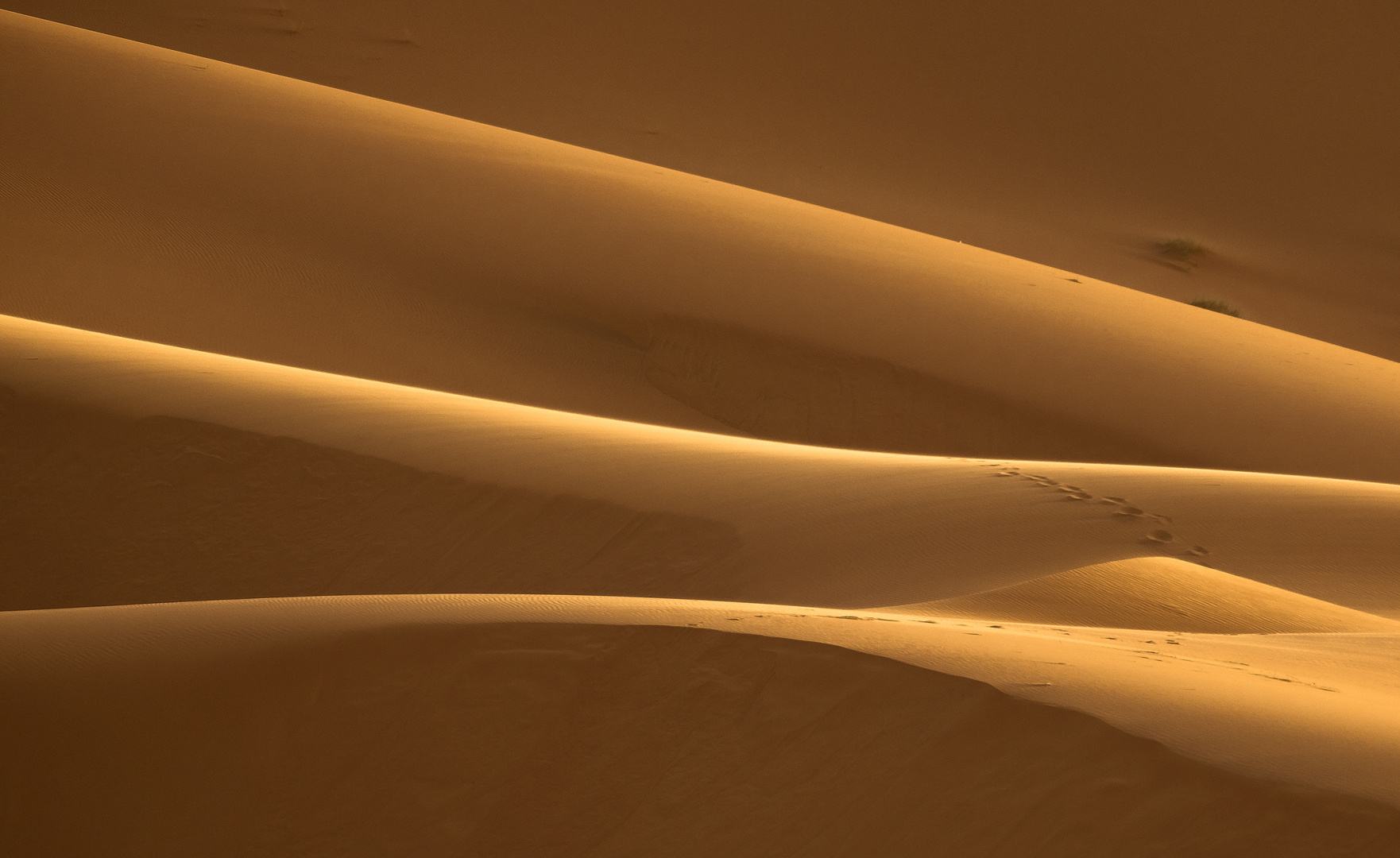 Erg Foto & Bild world, licht, sand Bilder auf