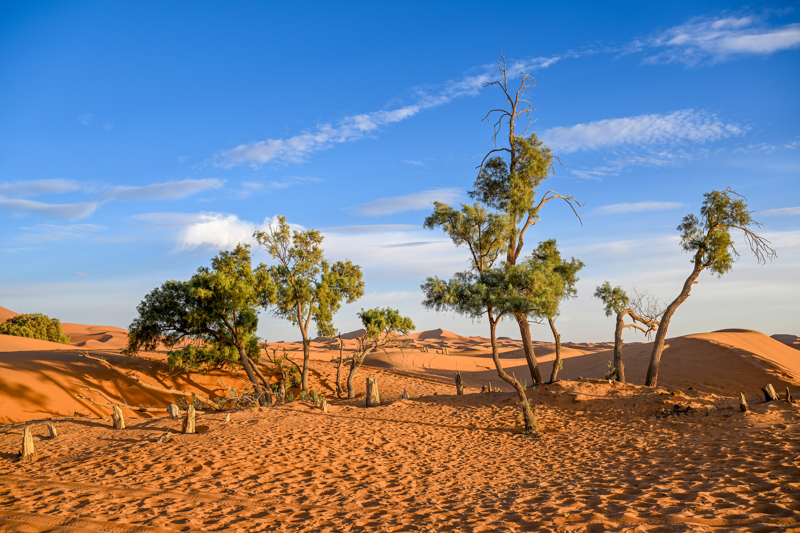 Erg Chebbi 01