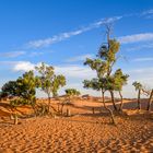 Erg Chebbi 01