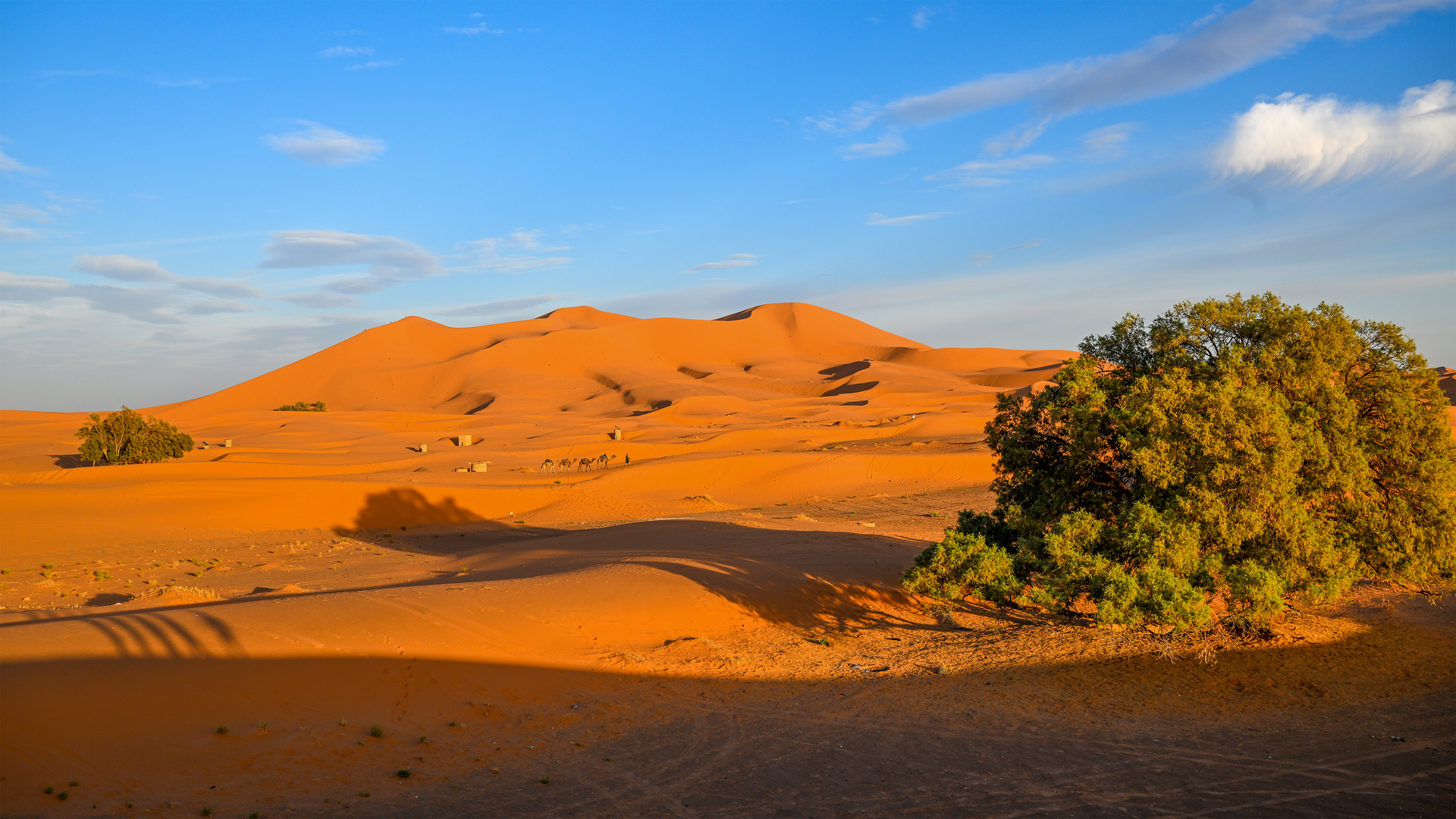 Erg Chebbi 02