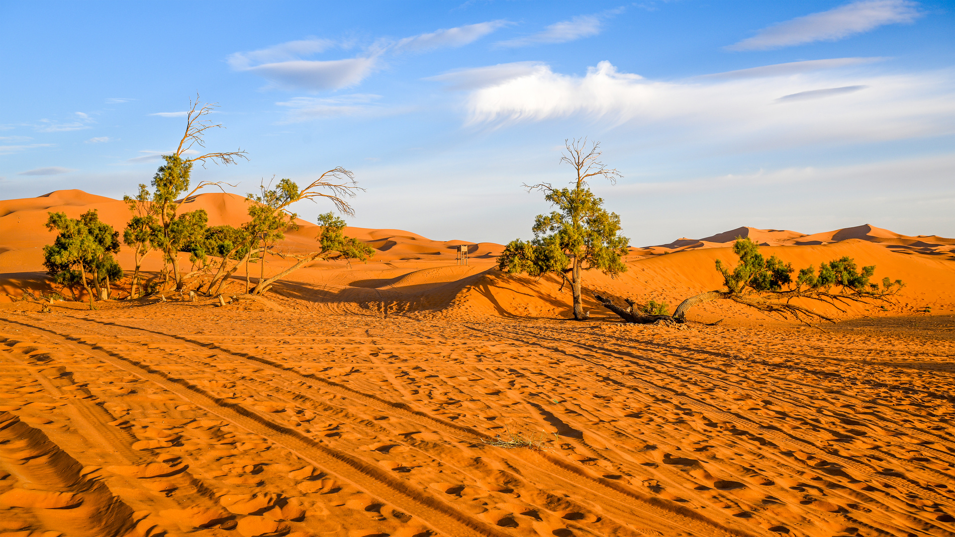 Erg Chebbi 04