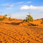 Erg Chebbi 04