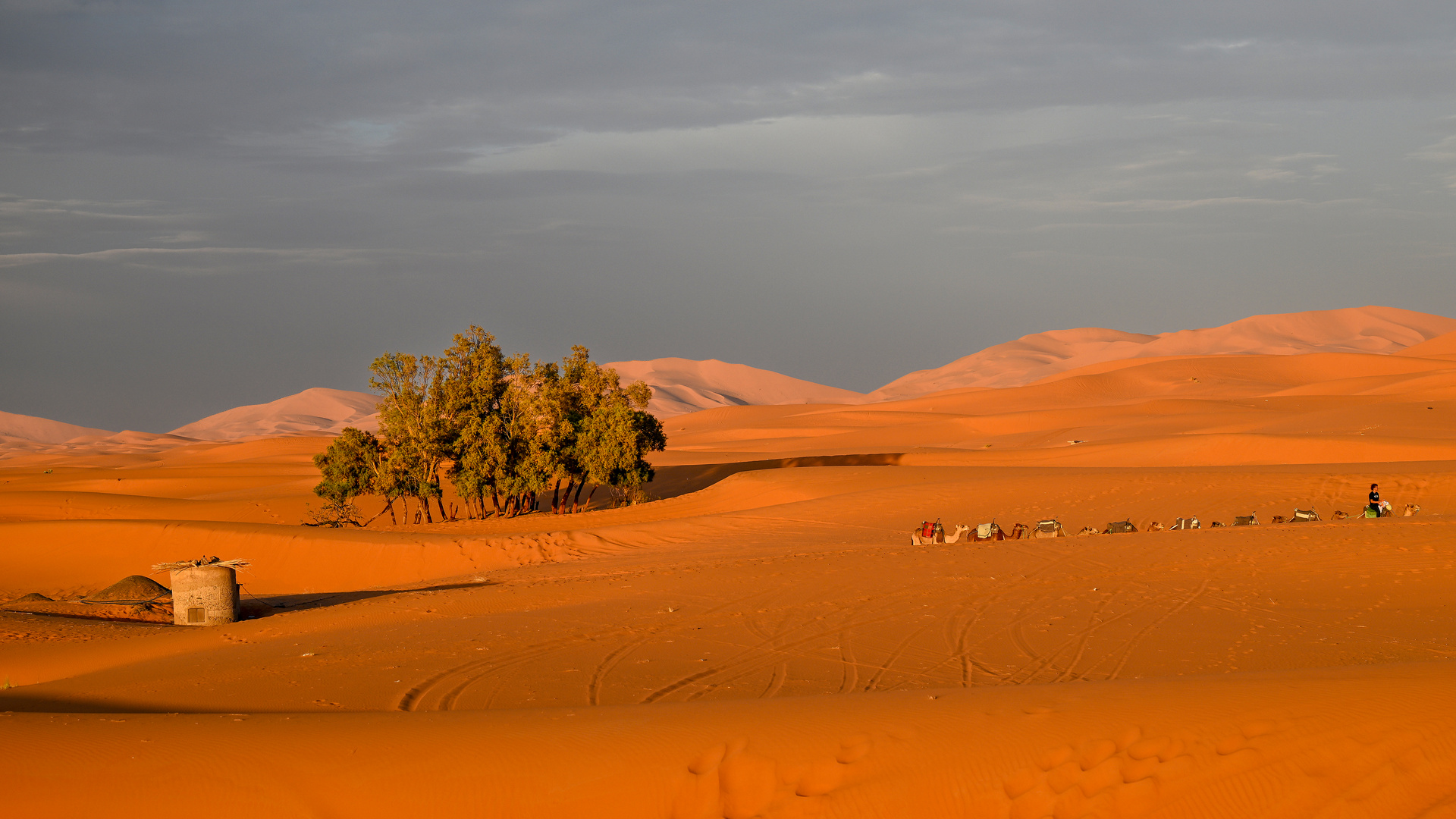 Erg Chebbi 07