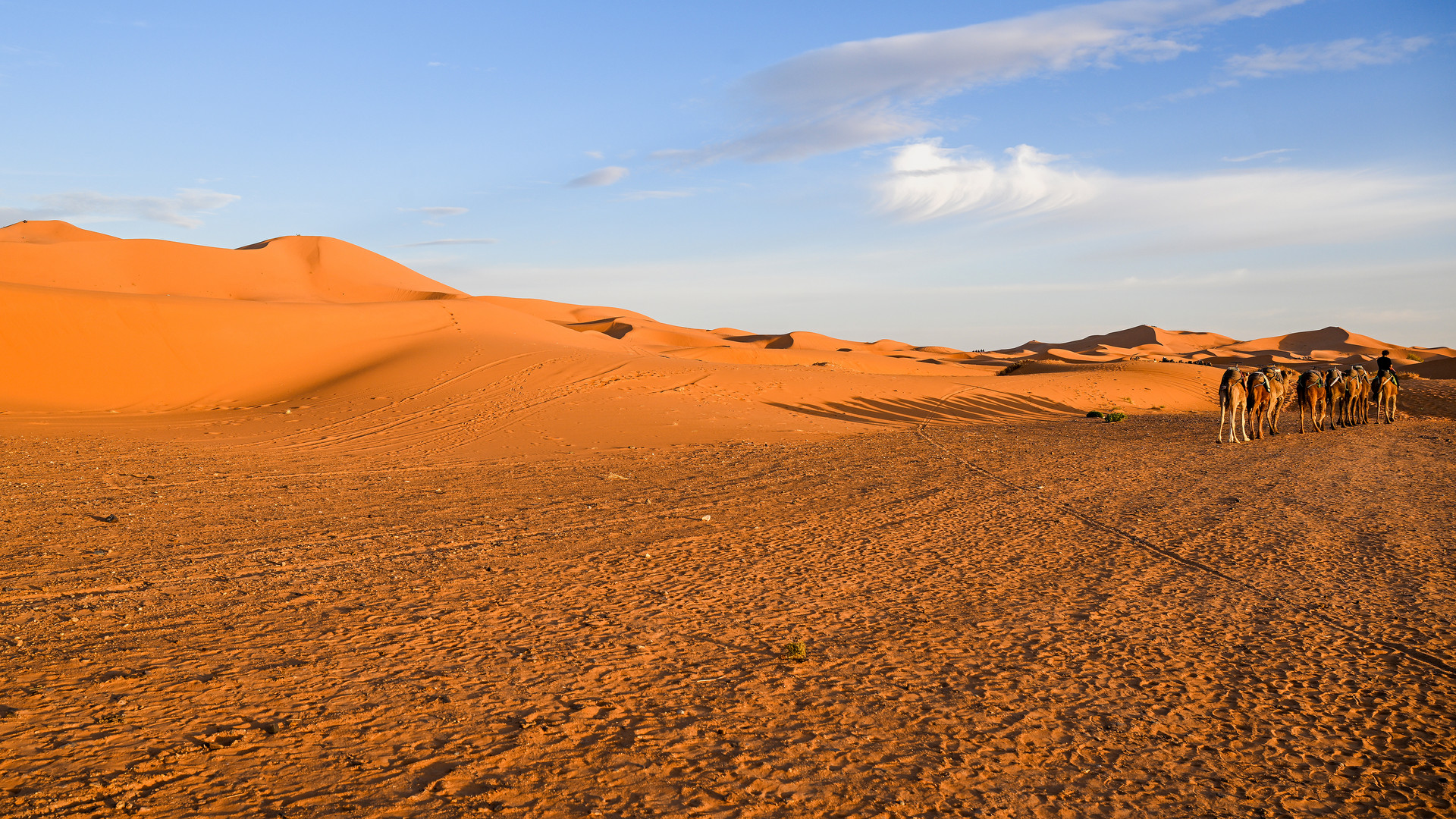 Erg Chebbi 08