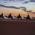 Erg Chebbi 09