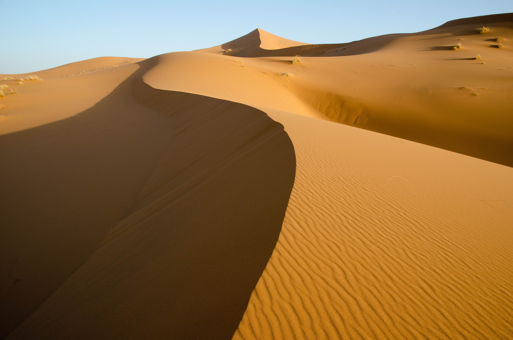 Erg Chebbi